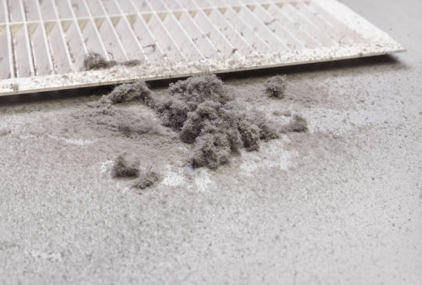 Best HVAC System Cleaning  in Spring Creek, NV