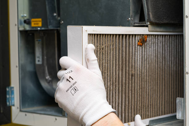Best Air Quality Test  in Spring Creek, NV