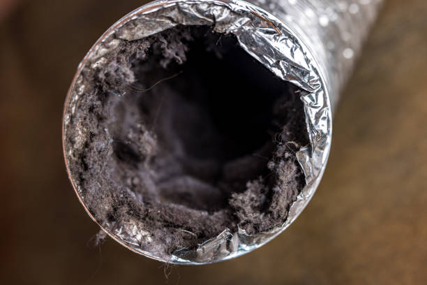 Best Air Duct Mold Removal  in Spring Creek, NV